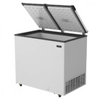 Conservador Esmaltec Ech350 325 Litros 2 Portas - Caixa Inter