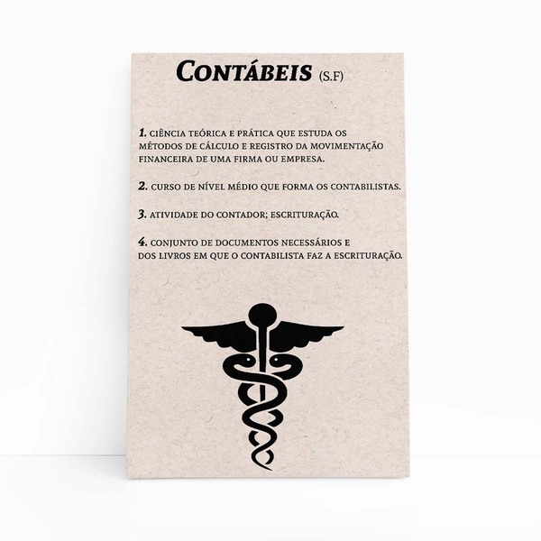 Contábeis Dicionário Minimalista Quadro Canvas 60x40cm