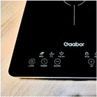 Cooktop 1 Boca Gaabor Luxus Indução Touch Vidro Preto 220v -