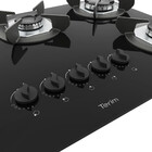 Cooktop Terim Safe Ferro Fundido 5 Bocas A Gás Preto Bivolt
