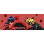 Copo 450ml De Plástico Yangzi Funny Miraculous Ladybug Com Ta