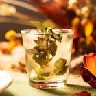 Copo Baixo Kaleido 240 Ml - Bormioli Rocco