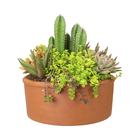 Coquetel Cactus E Suculentas P27 Vb