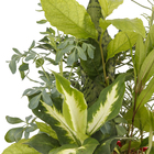 Coquetel 7 Ervas Cuia 21