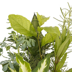 Coquetel 7 Ervas Cuia 21