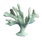 Coral Decorativo De Ceramica