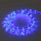 Corda Luminosa Taschibra Led Pro 13mm 2 Fios 30 Leds Azul 220