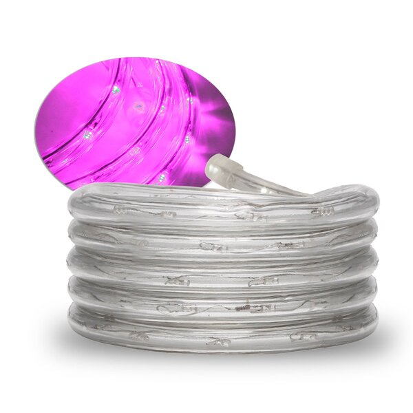 Corda Luminosa Taschibra Led Pro 13mm 2 Fios 30 Leds Rosa 110