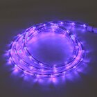 Corda Luminosa Taschibra Led Pro 13mm 2 Fios 30 Leds Violeta