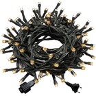 Cordão 100 Led Fixo Branco Morno Fio Verde Blindado 220v