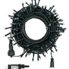 Cordão 300 Leds C/ Função 30m Branco Frio Fio Verde 31v