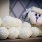 Cordão De Luz Branco- Luminária 20 Leds Fio De Luz