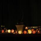 Cordão De Luz Orquídea - Luminária Led Decorativa Fio De 20 L