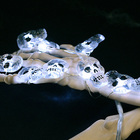 Cordão De Luzes Led Halloween 10 Caveiras Brancas Decoração F