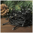 Cordão Luminoso Led Estático 100 Leds Taschibra 220v