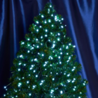 Cordão Luminoso Led Pisca Pisca 8 Funções 100 Leds Taschibra