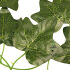 Corrente De Hera Verde 2,35 M 3 Unidades