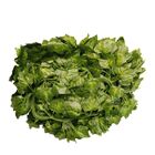 Corrente De Hera Verde 24 Unidades