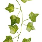 Corrente De Hera Verde 48 Unidades