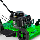 Cortador de Grama à Gasolina LF-80G Trapp