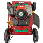 Cortador de Grama Robusta a Gasolina sem Recolhedor 3,8 HP 2T