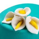 Cortador E Modelador Coração/cone 7pçs 78000015 Allonsy