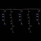 Cortina De Led 100 Lâmpadas Branca 220v 8 Funções 2,5m - Tuut