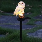 Coruja Luminaria Solar Enfeite Casa Jardim Quintal Decoraçao