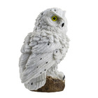 Coruja Luminaria Solar Kit 5 Uni Luz Led Iluminaçao Decorativ