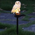 Coruja Luminaria Solar Kit 5 Uni Luz Led Iluminaçao Decorativ