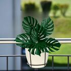 Costela De Adão Artificial (9 Unidades) Folhagens Para Parede