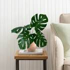 Costela De Adão Artificial Folhagem Permanente Usada Para Dec