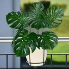 Costela De Adão Artificial Folhagem Permanente Usada Para Dec