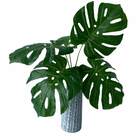 Costela De Adão Decorativa Planta Artificial Flexível E Moder