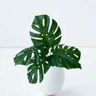 Costela De Adão Decorativa Planta Artificial Flexível E Moder