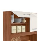 Cozinha Compacta 5 Portas 1 Gaveta Magazin Avelã/off White Cr