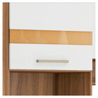 Cozinha Compacta Dama Com Balcão 3 Peças Cor Amendola Branco