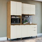 Cozinha Compacta Débora 9 Portas 3 Gavetas Freijó/off White -