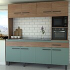 Cozinha Compacta Larissa 8 Portas 1 Gaveta Freijó/oliva - Pan