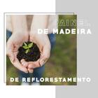 Cozinha Completa Milla Pro 100% Mdf Armário E Balcão Branco C