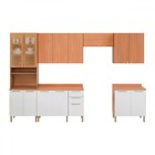 Cozinha Completa Sálvia 14 Portas 3 Gavetas Com Vidro Freijó/