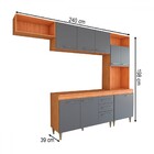 Cozinha Completa Vanessa 9 Portas 2 Gavetas Cinamomo/grafite