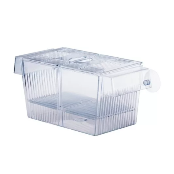 Criadeira Cristal Com Ventosa  Fhm Jeneca  Nautilus