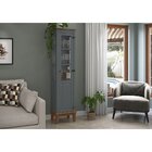 Cristaleira 1 Porta Cinza