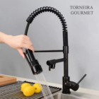 Cuba Dupla Aço Inox Black + Torneira Gourmet Preta E Lixeira