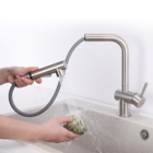 Cuba Gourmet 60x42cm Inox 304 + Torneira Extensível Escovada