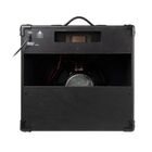 Cubo Para Guitarra 100w Hg100 Preto Hayonik