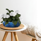 Cuia Cerâmica Adenium Azul 11x25cm Bella Art