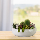 Cuia Cerâmica Adenium Branco 8x25cm Bella Art