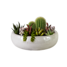 Cuia Cerâmica Adenium Branco 8x25cm Bella Art